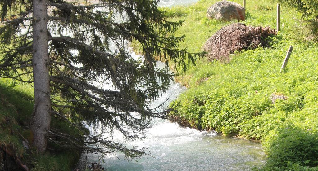 Sonnenhof Preda Otel Dış mekan fotoğraf