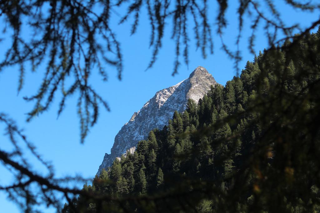 Sonnenhof Preda Otel Dış mekan fotoğraf