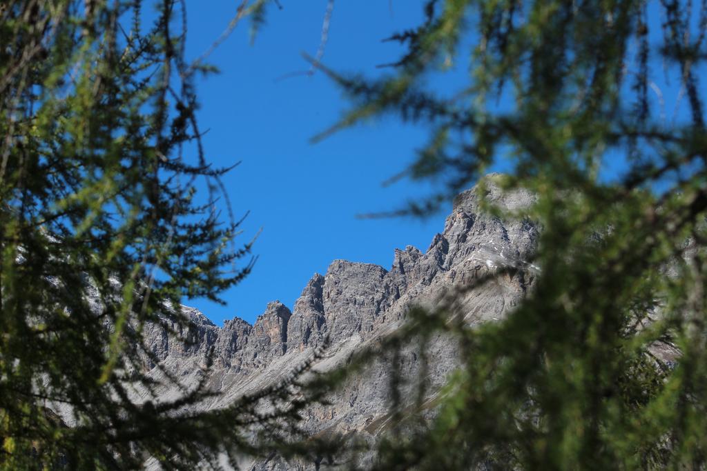Sonnenhof Preda Otel Dış mekan fotoğraf
